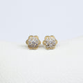 Studs Flor Brillo