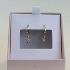 Dangles Melcocha