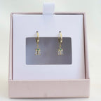 Dangles Regalo