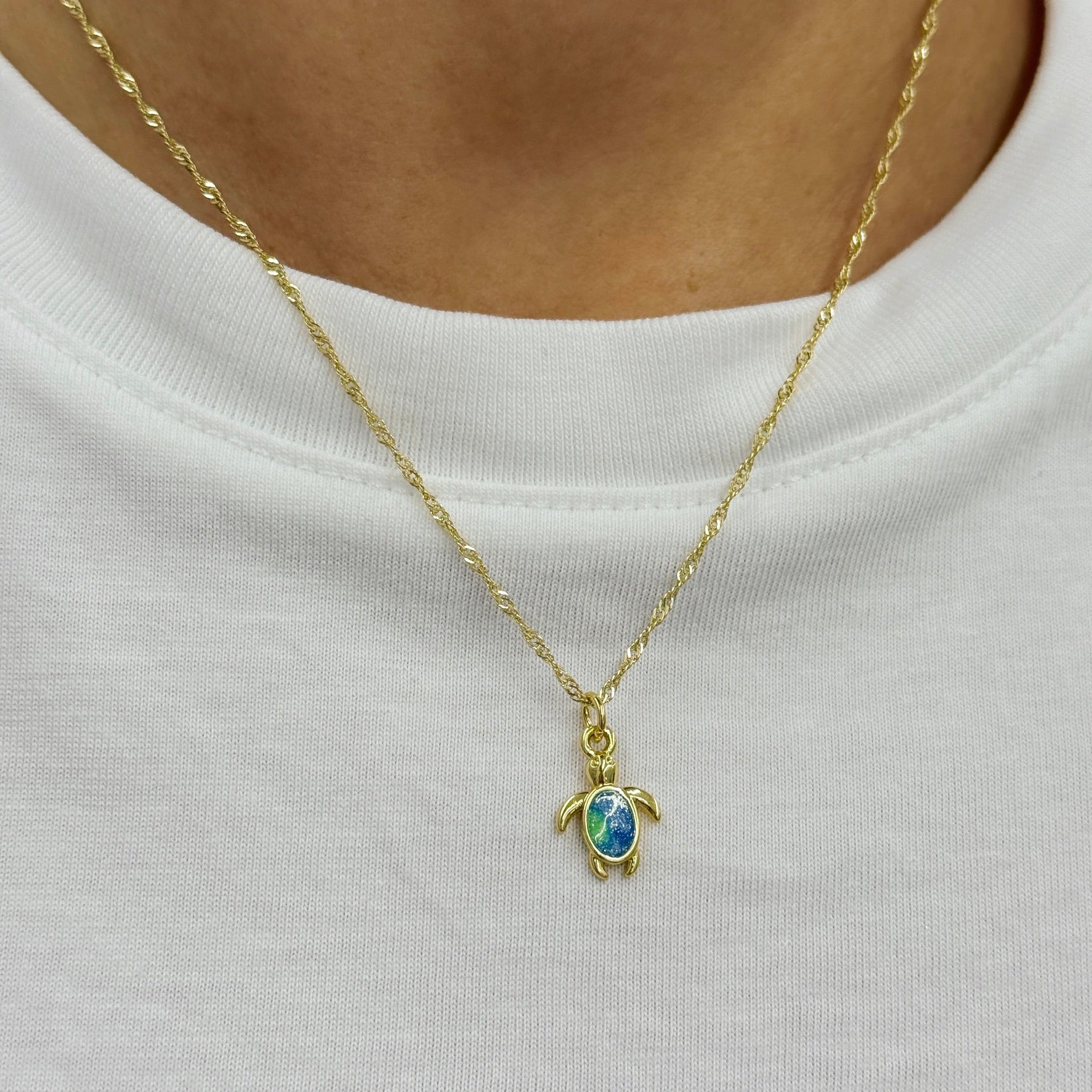 Collar Tortuga Celeste
