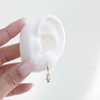 Dangles Campana