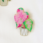 Pin Plantas