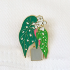 Pin Plantas