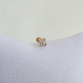Labret Flor