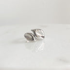 Anillo Melton