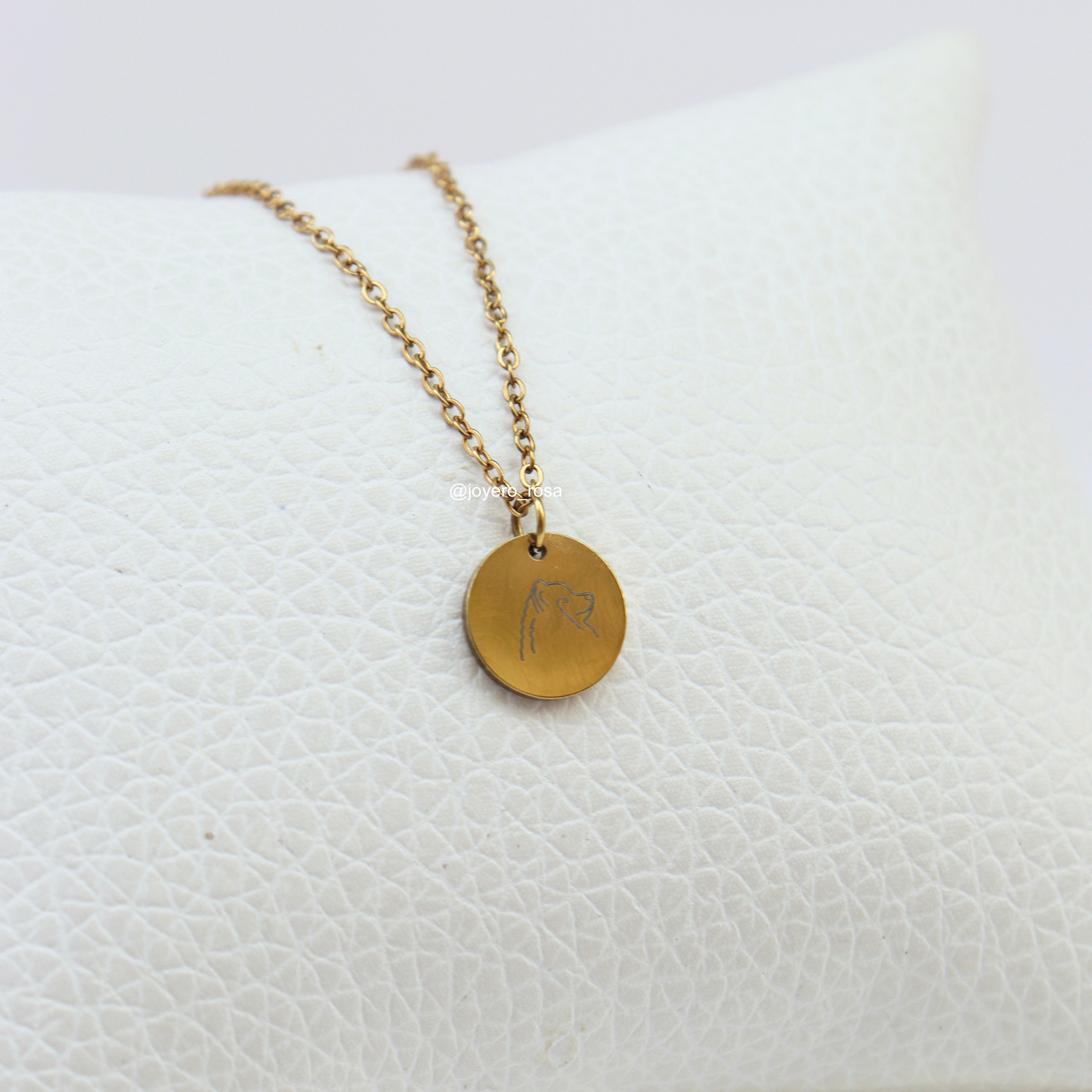 Collar Perrito (Husky)