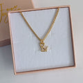 Collar Gato
