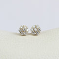 Studs Flor Brillo